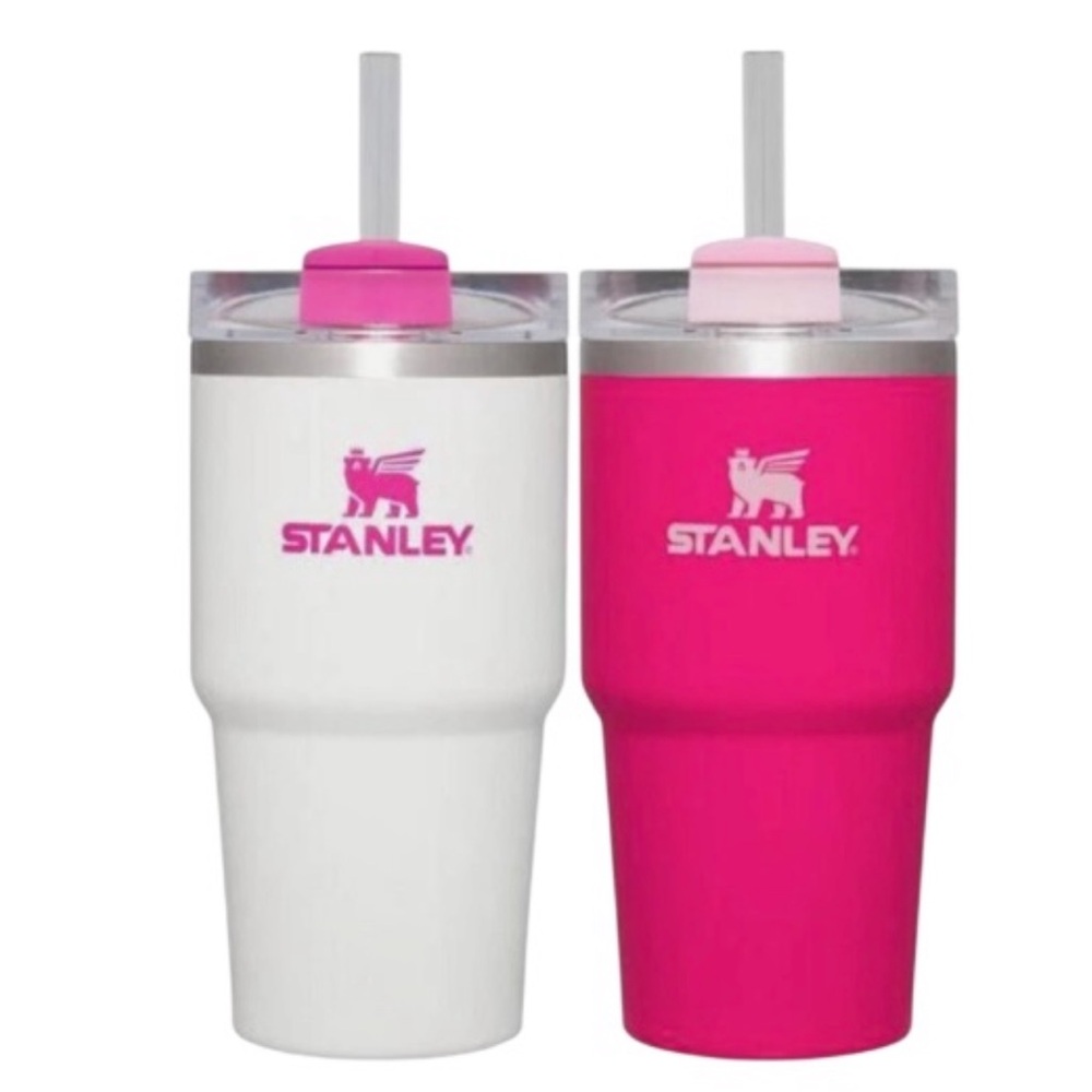 Stanley 20oz Pink Vibes and White Drink Tumblers